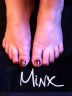Minx - Burgundy with gold hearts