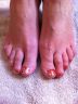 Minx - Red & Gold